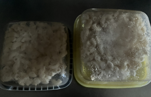 Frysta makaroner i lådor