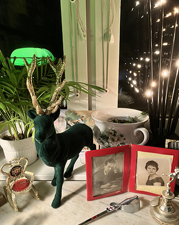 Grön ren i arbetsrumsfönstret