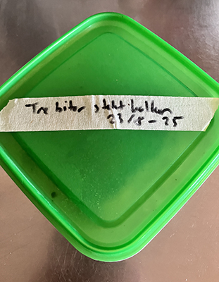 Matlåda med tre bitar stekt kalkon på tining