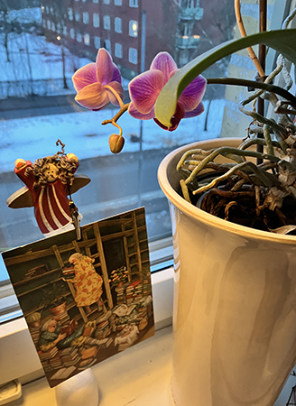 Blommande orkidén i arbetsrumsfönstret