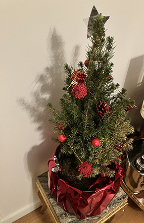 Min lille gran 2025 på Tjugondedag Knut 2026