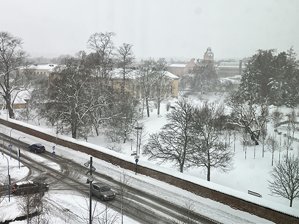 Utsikten från jobbfönstret vinter