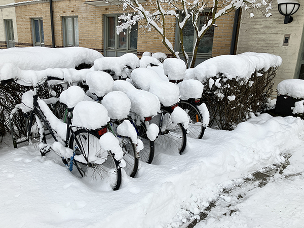 Översnöade cyklar utanför porten St Olofsgatan