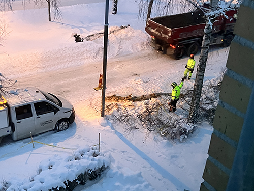 Ett nerhugget träd och två gubbar från Uppsala kommun