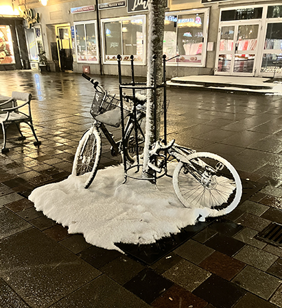 Snöiga cyklar vid ett träd på Stora torget