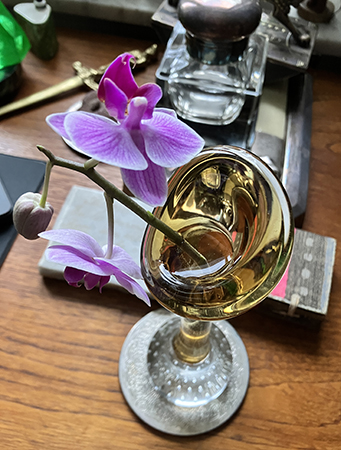 Avbruten orkidé i hundbensvas Avbruten orkidé i hundbensvas