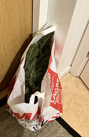 Granen i påse för att kastas