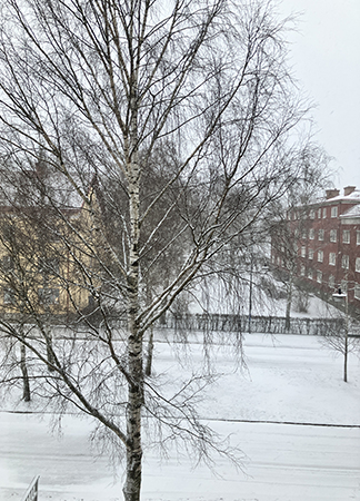 Vinter på St Olofsgatan nyårsdagen 2026