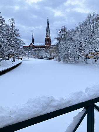 Domkyrkotornen och Fyrisån i snö från Haglunds bro