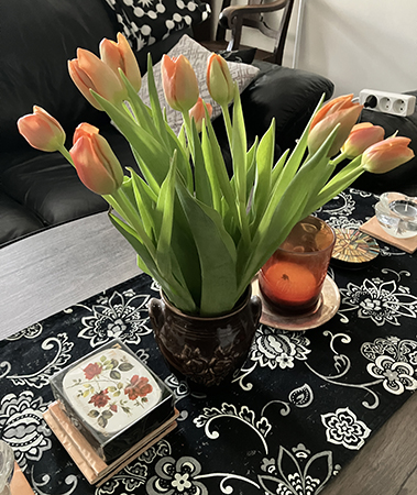 Orange tulpaner Orange tulpaner