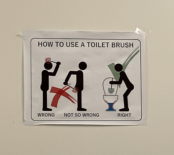 How to use a toilet brush