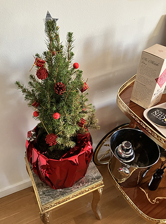 Min lille gran den 10 januari 2026