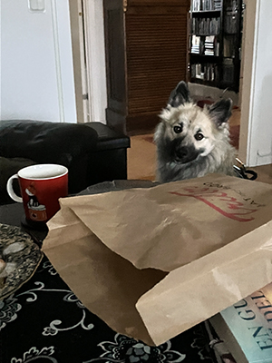 Baldur tittar längtansfullt på Trillerpåsen