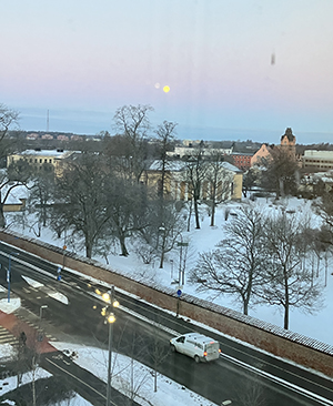 Vinterutsikt från jobbfönstret