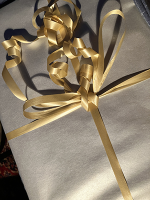 Julklapp från Husse o Baldur