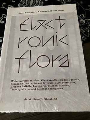 Electronic flora julklapp från Husse o Baldur