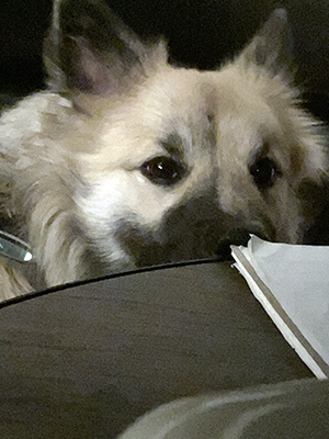 Baldur kollar in i kameran