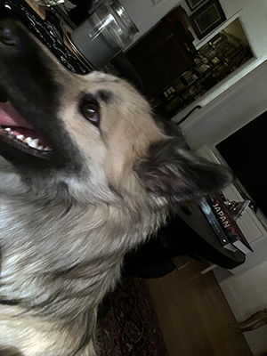 Baldur letar efter nåt att busa med