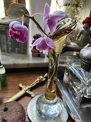 Avbruten orkidékvist i hundbensvas