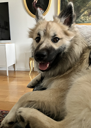 Baldur skrattar i soffan