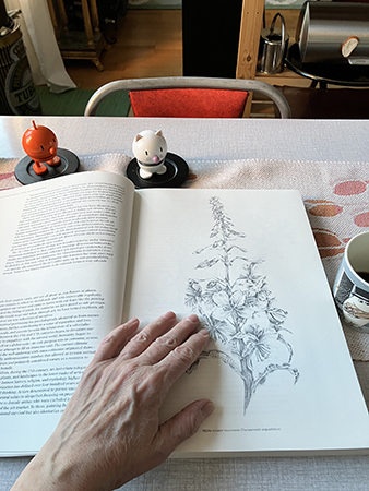 Hopptisarna och min hand på bokuppslag Electronic flora växtillustration