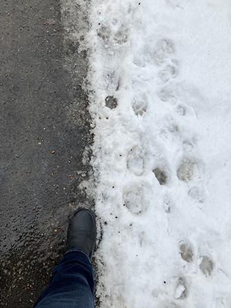 Min fot i boots i slask och snö