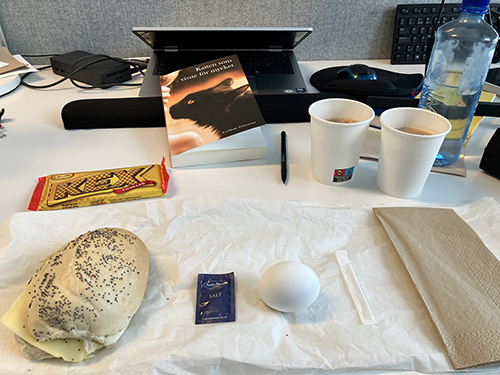 Skrivbordslunch med kattboken kexchoklad macka o ägg