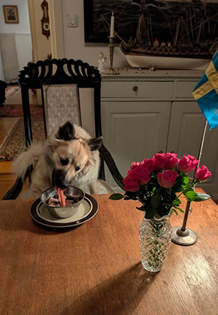 Baldur firad på födelsedagen av Husse med blommor flagga o korv
