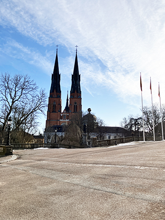 Domkyrkotornen o Gustavianum från universitetsparken