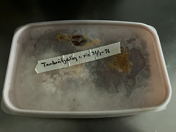 Matlåda med tandoorikyckling och ris