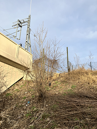 Vårskräpig backe och grå himmel
