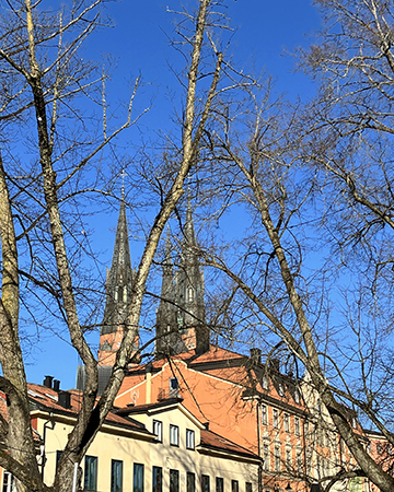 Domkyrkotornen mot en blå himmel