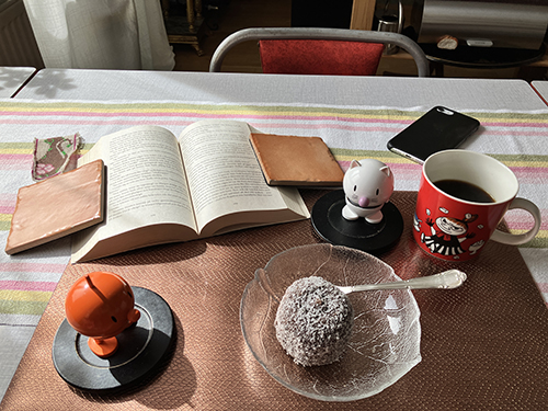 Lunchdessert handgjord cocosboll med Hopptisarna o bokuppslag