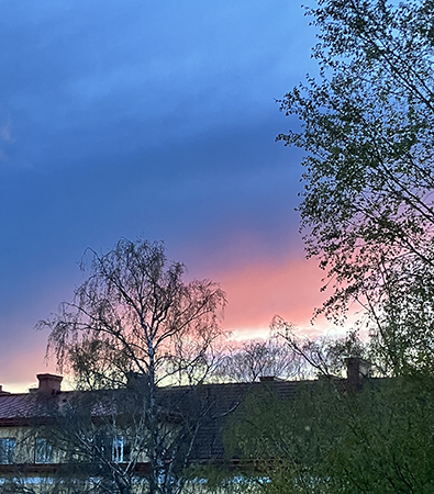 Rosa himmel över hustaken