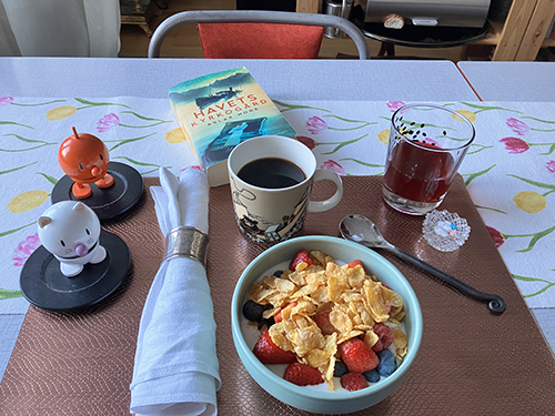 Tisdagsfrukost med fil o hela flingor o bär Hopptisarna o Havets kyrkogård