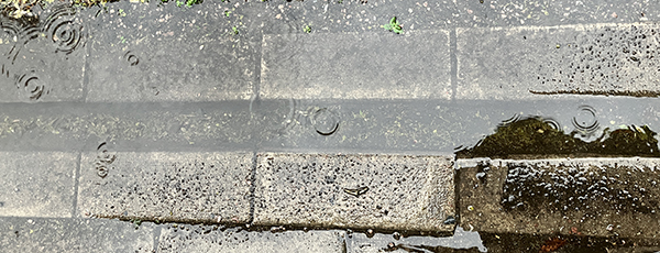 Droppar i vattenpöl