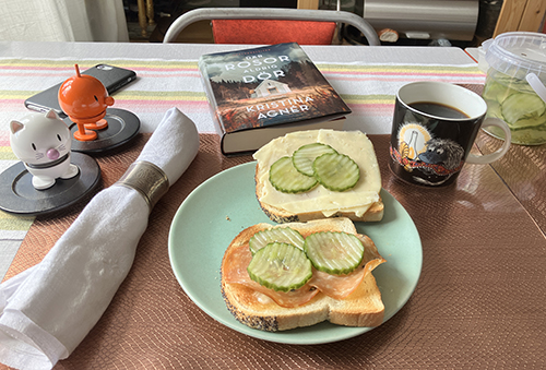 Hemmalunch två rostade mackor Hopptisarna Där rosor aldrig dör