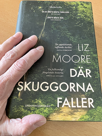 Liz Moores bok Där skuggorna faller för recension från Modernista