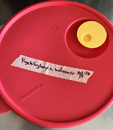 Matlåda med kycklingkorv o makaroner på tining