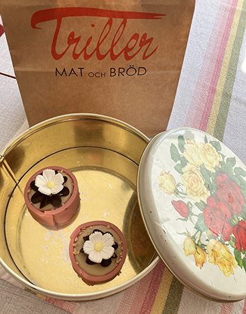 Två rosa Noisette med vita blommor från Triller