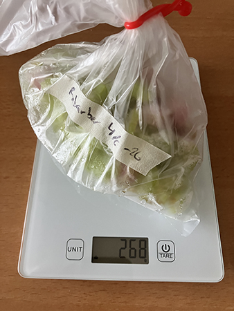 268 gram frusna rabarber på hushållsvågen