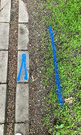 Blå tecken på trottoar o gräs