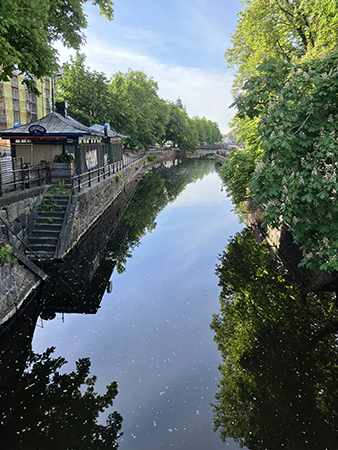 Fyrisån junimorgon