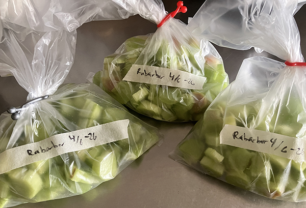 Tre påsar skivade rabarber till frysen