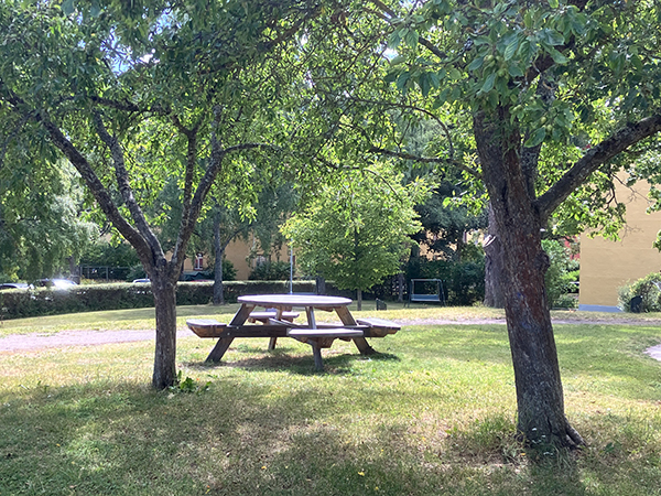 Bord med bänkar Höganäsparken juli 2026