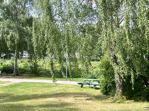 Höganäsparken juli 2026