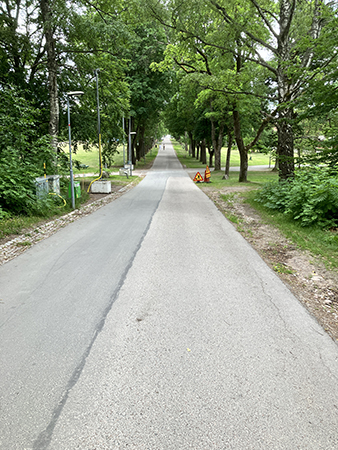 Nerförsbacke från södra tornet Uppsala slott Nerförsbacke från södra tornet Uppsala slott