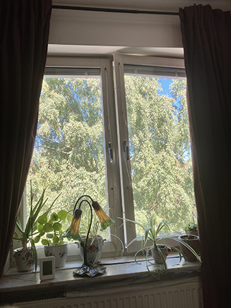 Putsat fönster i sovrummet o rena gardiner