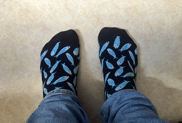 Sillstrumpor Happy socks