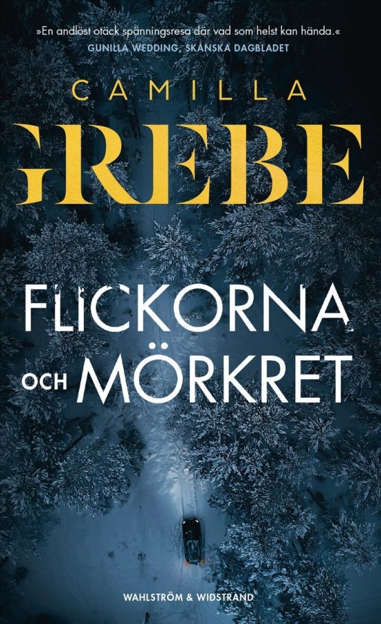 Camilla Grebes bok Flickorna och mörkret